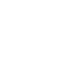 Insights_2